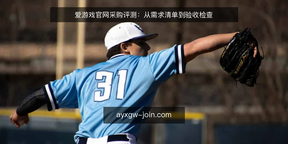 爱游戏官网采购评测：从需求清单到验收检查 — 为什么现在需要审计爱游戏官网 配图