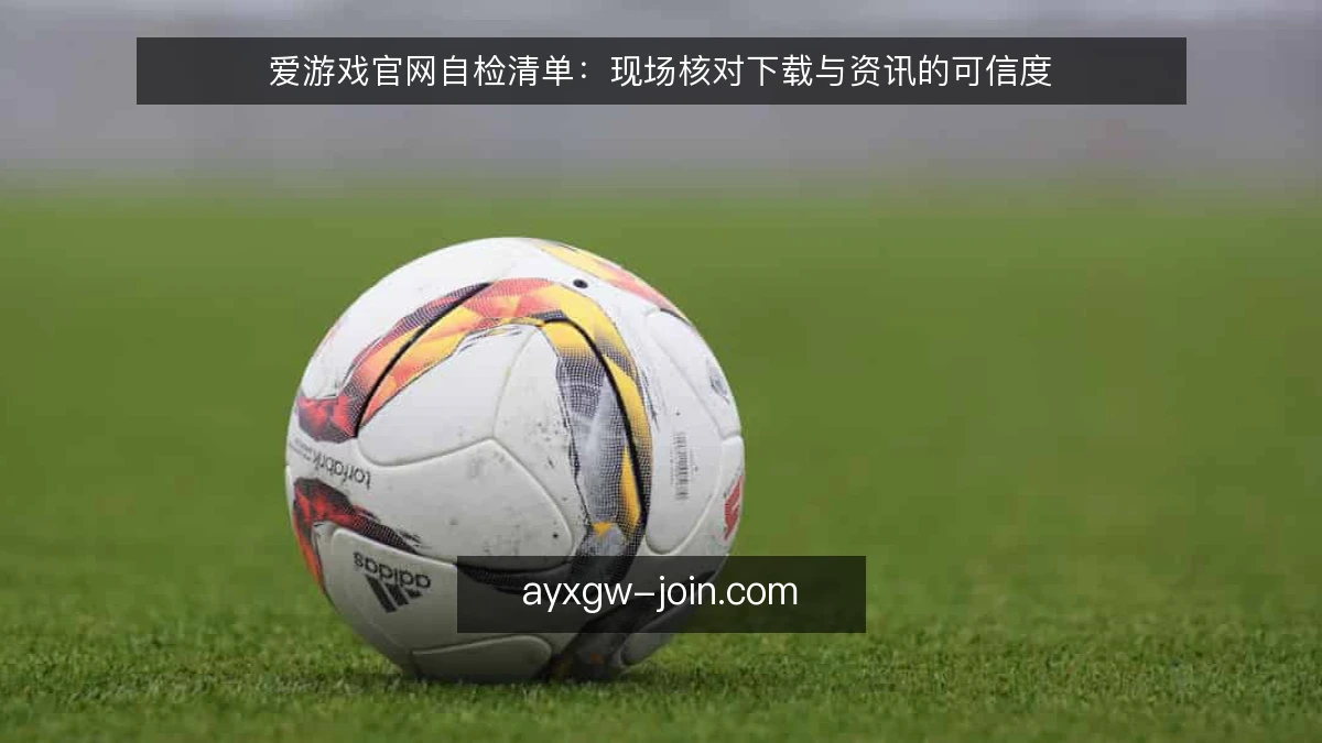 爱游戏官网自检清单：现场核对下载与资讯的可信度