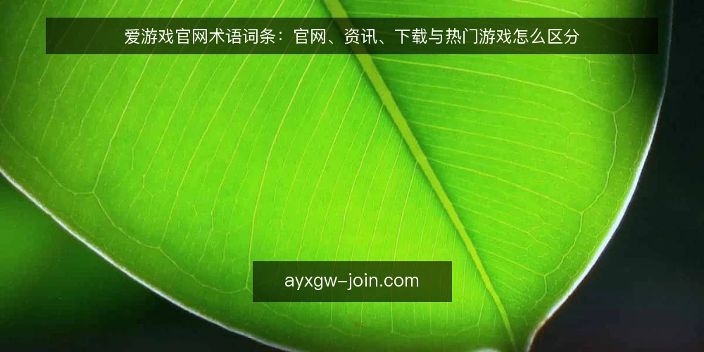 爱游戏官网术语词条：官网、资讯、下载与热门游戏怎么区分 — 先备齐术语表与核对输入 配图