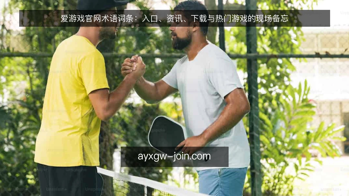 爱游戏官网术语词条：入口、资讯、下载与热门游戏的现场备忘