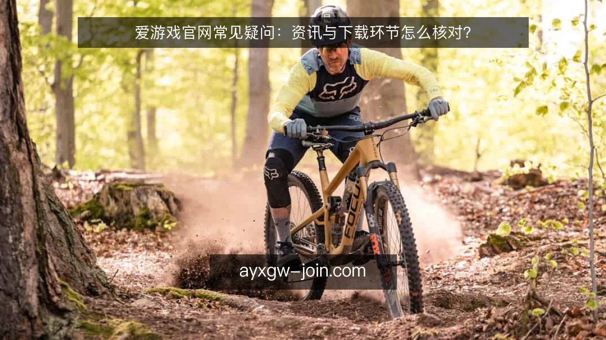 爱游戏官网常见疑问：资讯与下载环节怎么核对？