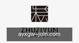 爱游戏官网